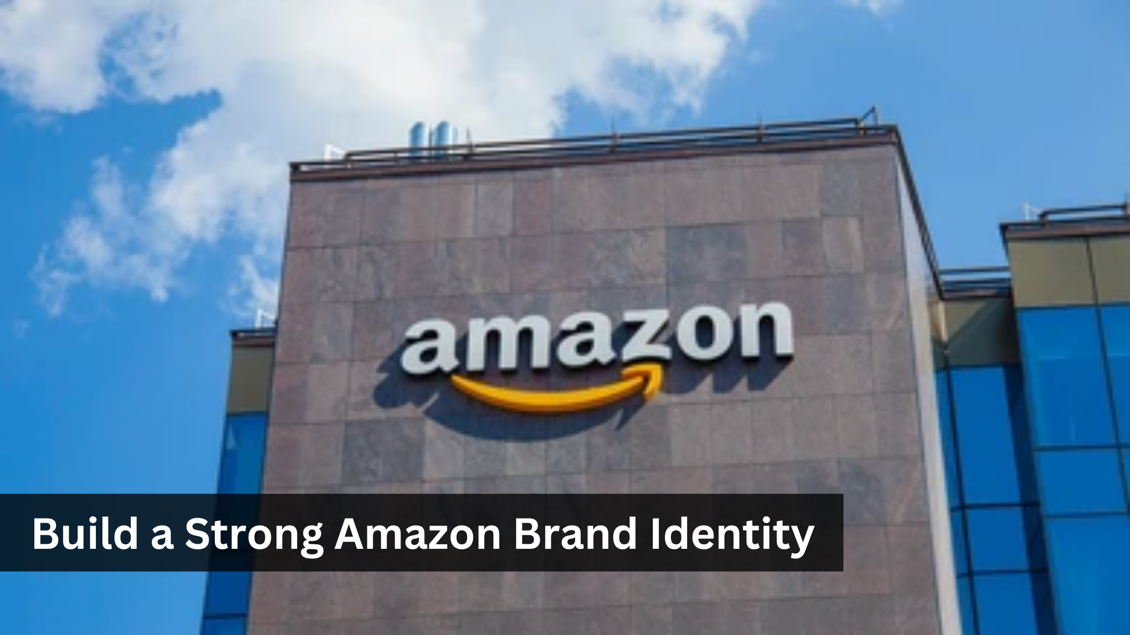 Amazon Brand Identity