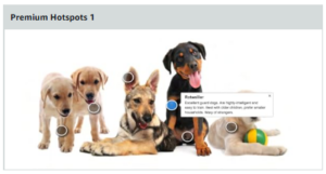 Guide to Amazon Premium A+ Content Modules List 2026